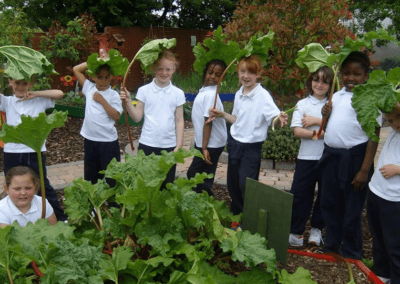 Children Vegetables Outside School Tours at Mellowes Adventure Centre Athboy