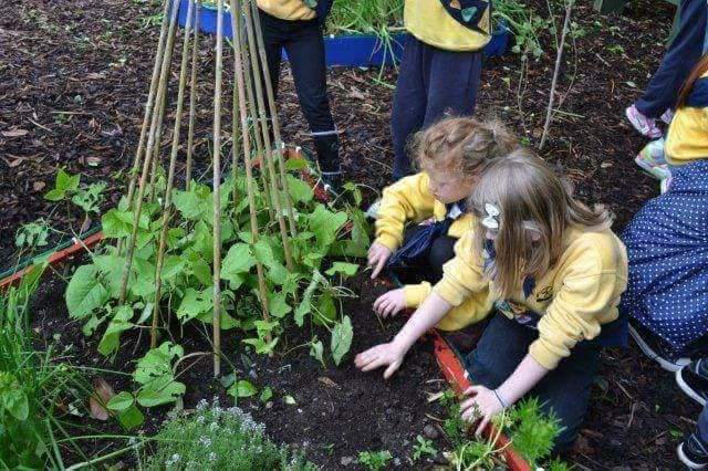 Kids learning about plants and nature Mellowes Group Tours Kids in garden learning about plants and nature Mellowes Group Tours