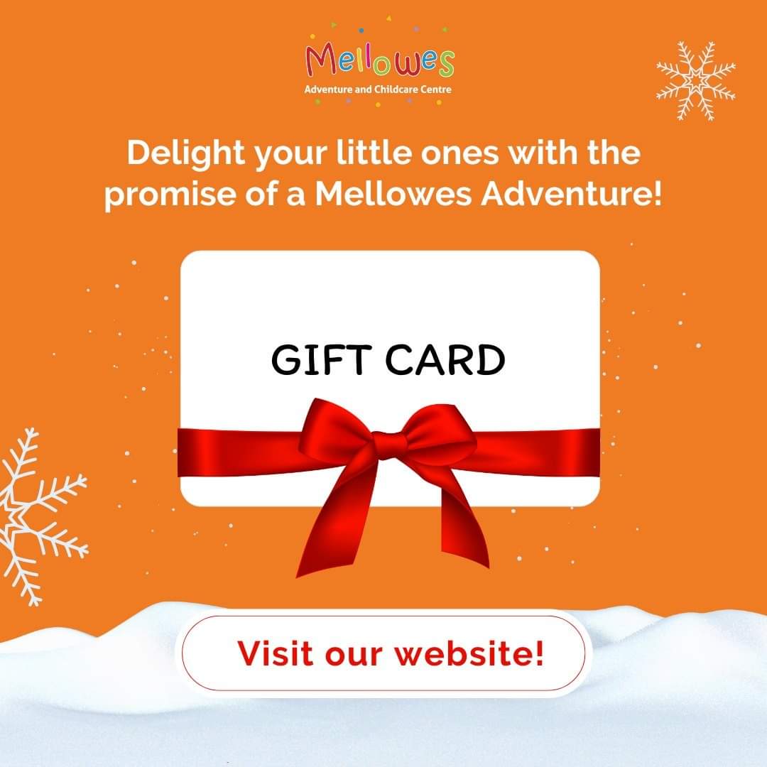 Mellowes Christmas gift for family Mellowes Christmas gift for family