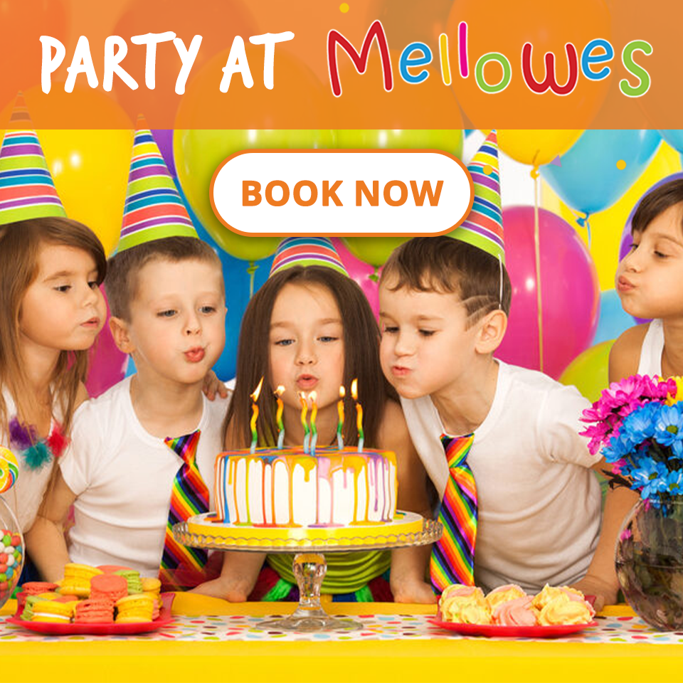 Kids Party at Mellowes Adventure Centre 2024 Kids Party at Mellowes Adventure Centre Book Online