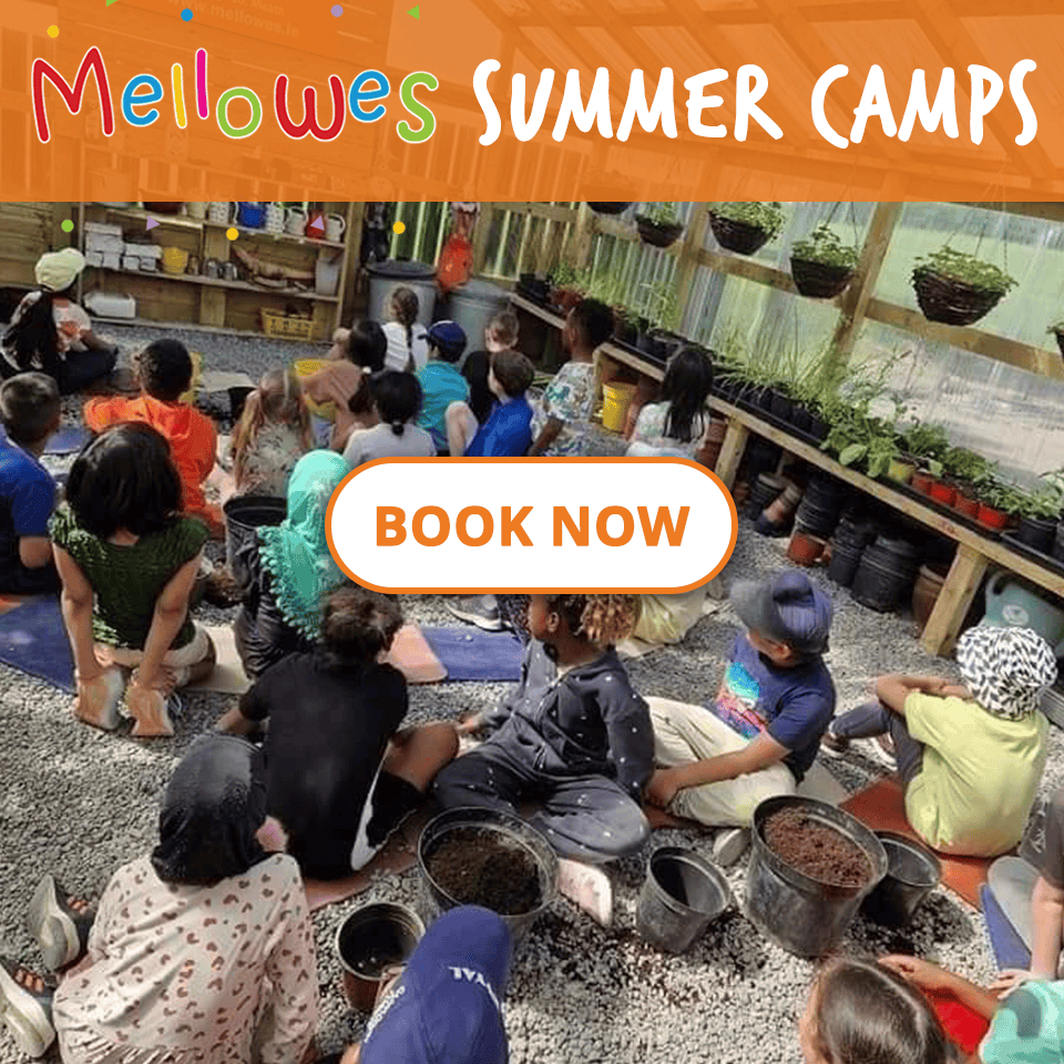 Mellowes Summer Camps for kids Book online today July and August 2024 Summer Camp at Mellowes Adventure Centre Book Online