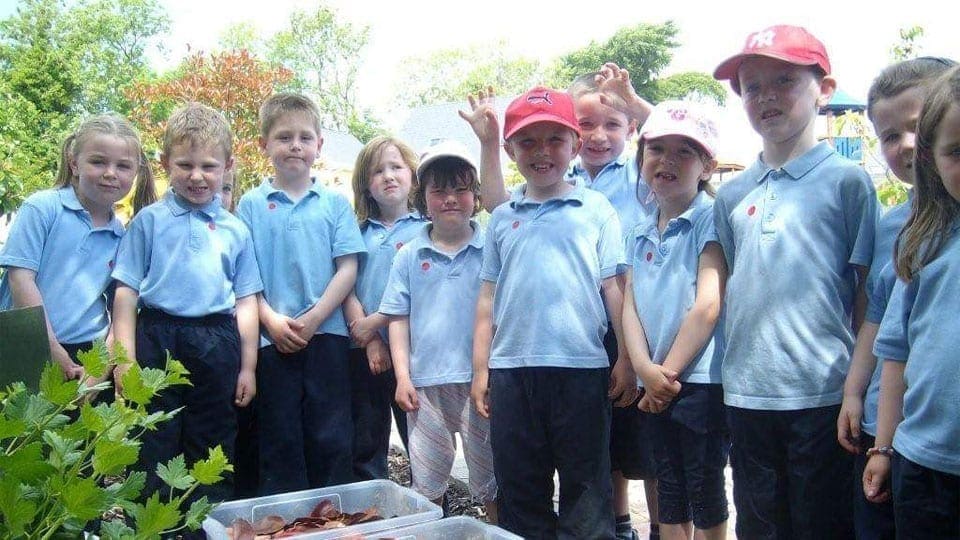 Primary School Garden Adventure Centre Mellowes