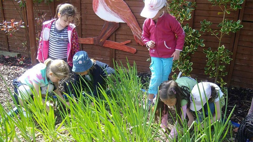Kids Gardening Mellowes Fairy Garden Sensory Garden Meath