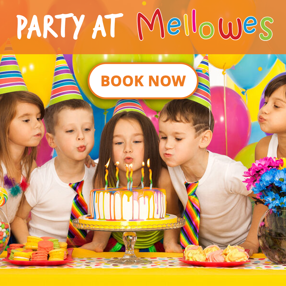 Birthday Party for kids at Mellowes Adventure Centre